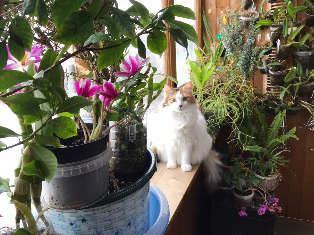 52CA0FD0-0C6B-4A29-8F4B-FECAA88AFD1C