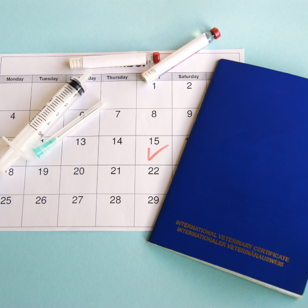 un calendario con jeringuillas y un libro