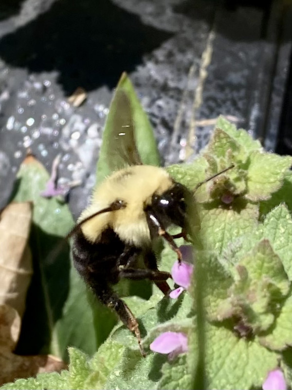 D0446B30-B346-48FF-B367-3310D31FADEF