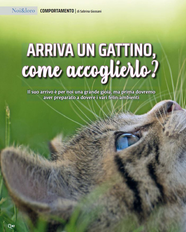 QuattroZampe Lug 2023 (9)