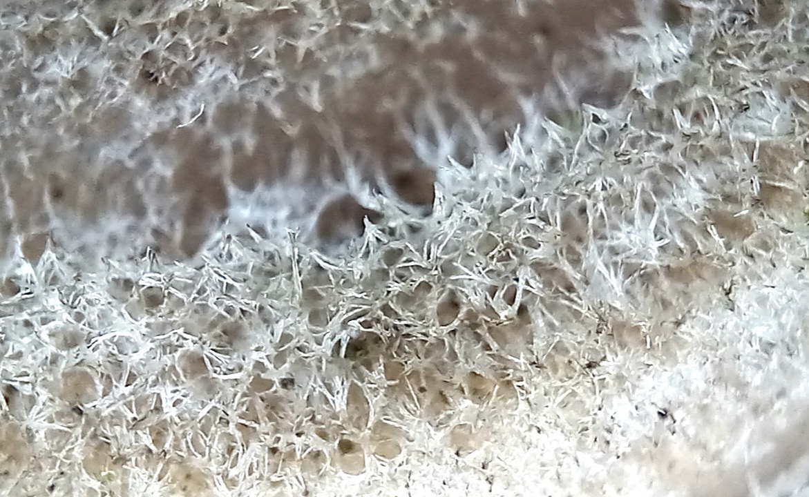 20250118-200912