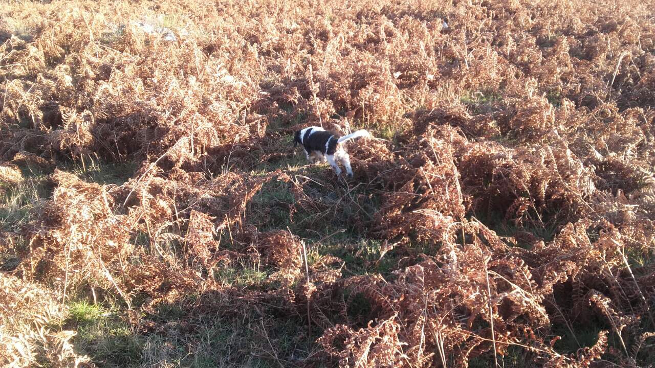 3C261479-BD24-47AF-B9A0-1754859FF782