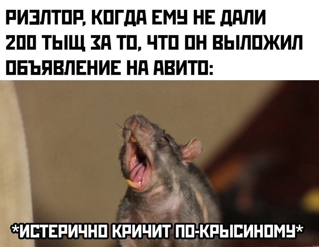 vVeJqHi7Hu8fi_c5123aA0HBusibYQFjgo2Pzxg_EFGZMFIs3a0N-vB5j4RSdU63nDpOF3Fp1UmjnmdQ0NNzgGml