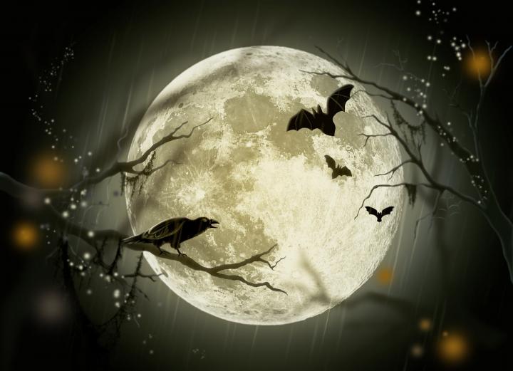 halloween-moon-bats-raven-full-width.jpg