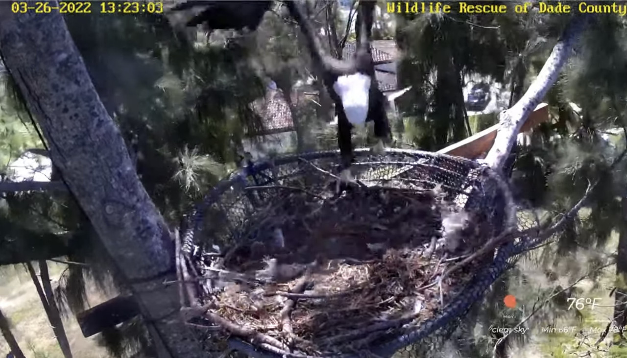 EFCAD436-F969-460B-9E7A-E8873E62B9B3