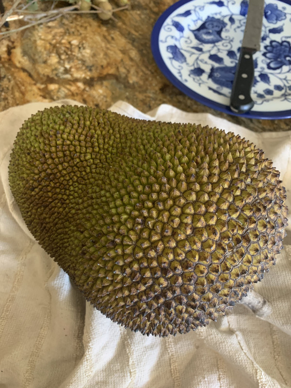 8FA38AB4-1AAA-42BF-A4F2-238D58A913AD