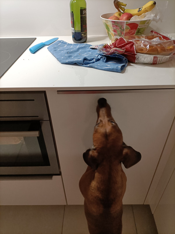 [Image: IMG20211114190755.jpg]