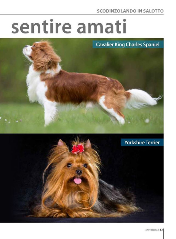 Il M C Set-Ott 2024 (6)