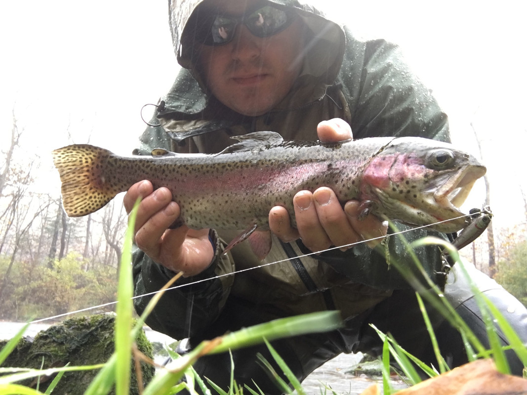 1014AE2C-7BEE-4CB6-90B1-D9577EB6049F