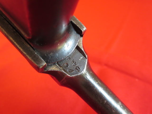 IMG-3468