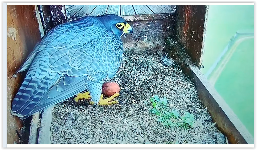 Screen Shot 02-25-25 at 02.28 PM