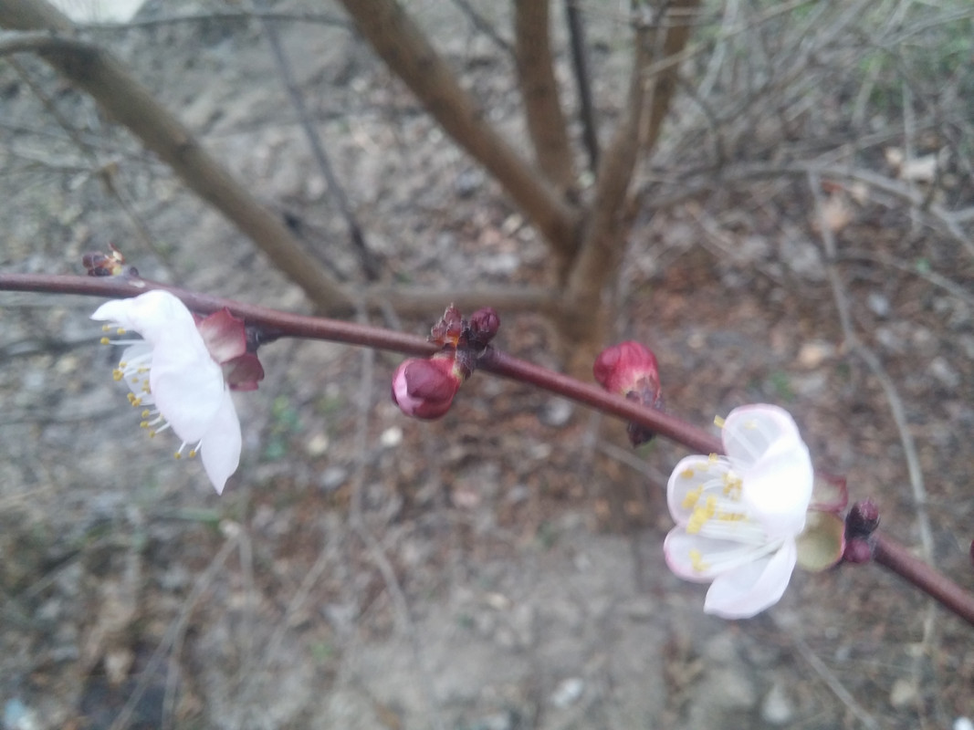 20190302_172953