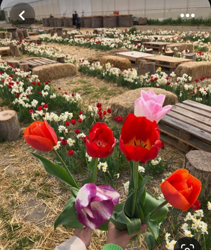 Screenshot_20230614_005142_Pinterest