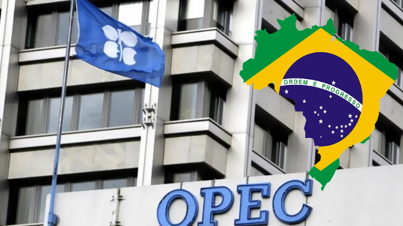 OPEP Brasil