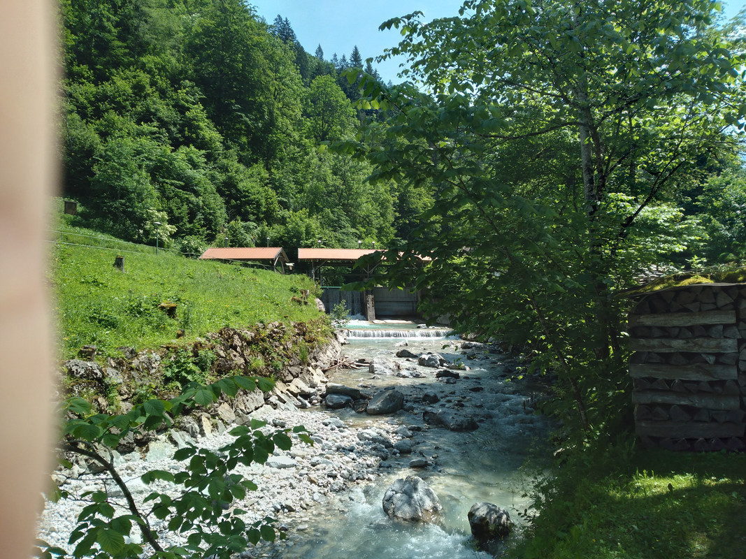 20220617-131824-1.jpg