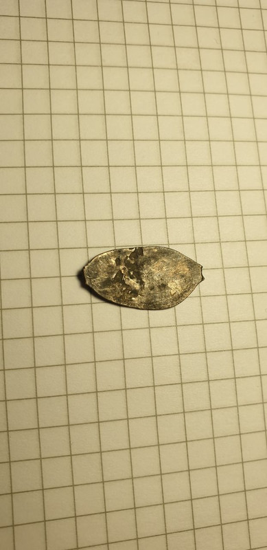 IMG_20220803_102816_188