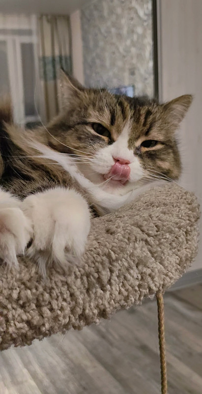 Videoframe_20241030_160819_com.huawei.photos_edit_7044695650071