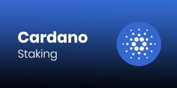 ¿Cómo se reparten las recompensas de staking en un pool en Cardano?