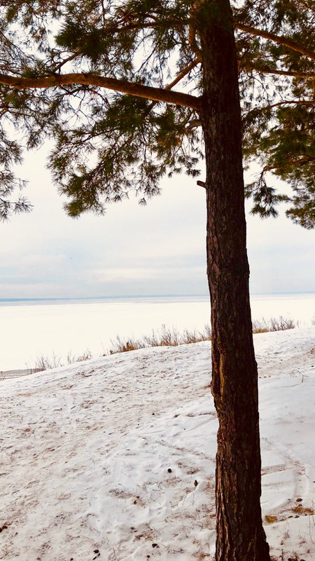 4871E624-A5BC-4F5C-B057-5129F7A34726