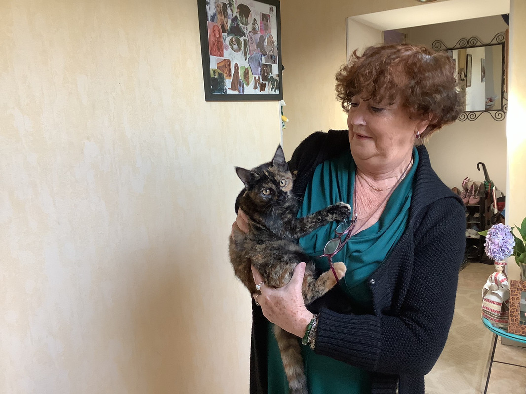 E339EDEF-B9EA-44EA-B67F-28D29186AA8C