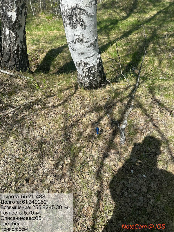 photo 42 2026 05 05 18 15 18