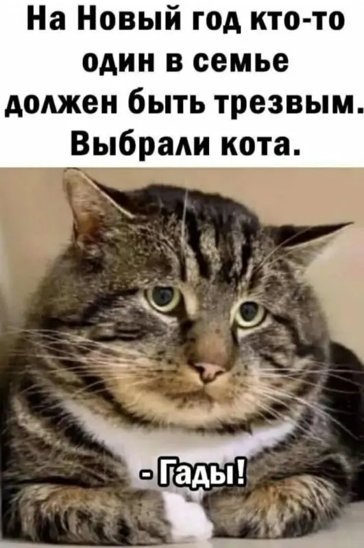 YlFdz6LDFjClBDGvI012kA8KEXtCy3RaiaOyWmk82slw3a2f9K9OXtWirlB8H40aLUjmBNoQsFPMo-zGnZWhMUpe