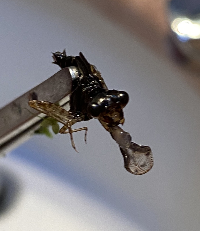 4D239B0B-3899-4C55-A29D-32E86EB68B46