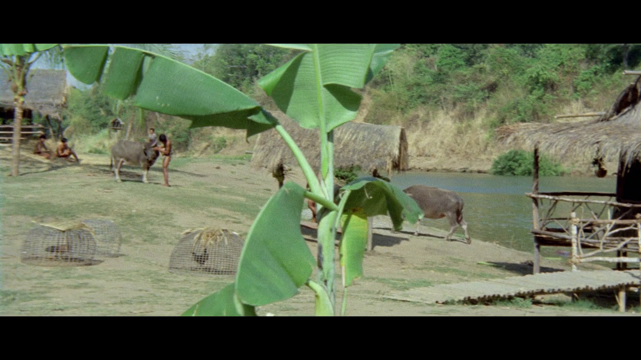 vlcsnap-2024-05-11-21h45m33s946