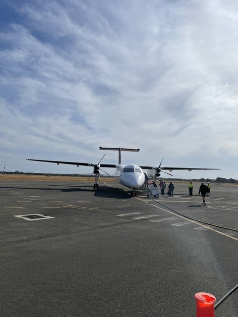 Hasta pronto Kangaroo Island! - El abrazo a Pearl (4)