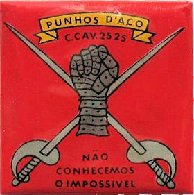 CCav2525