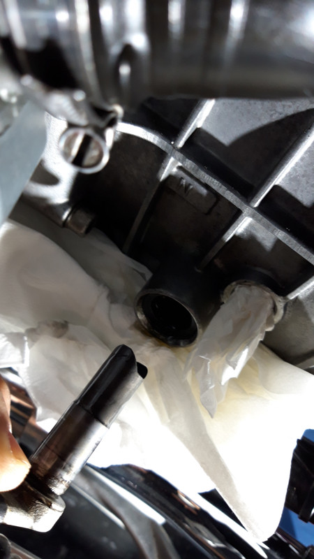 11DE01A8-C67F-4639-9318-C058E5270F9F