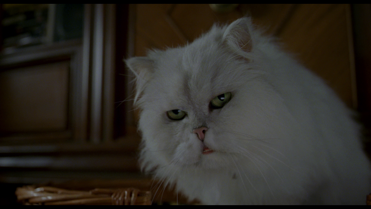 vlcsnap-2024-01-13-15h21m05s994