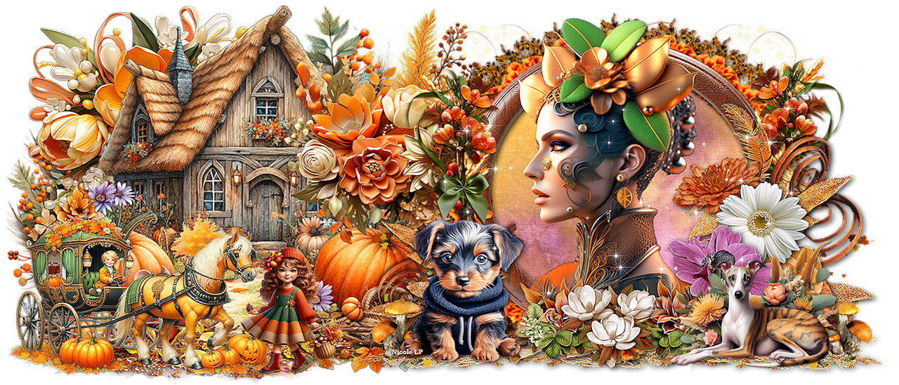 Graphisme Nicole56