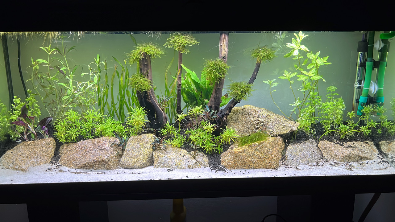 7FF846A5-0A97-49D5-B991-5CCA92920B76