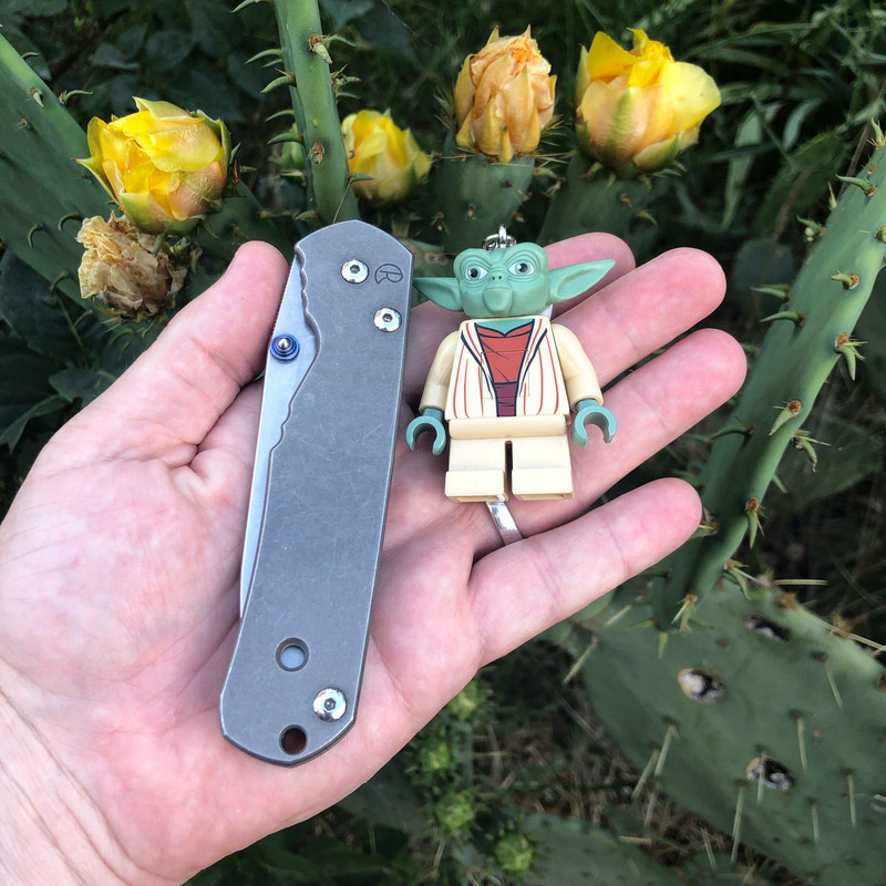 33864A33-1134-43D8-A3AD-203068DC025B