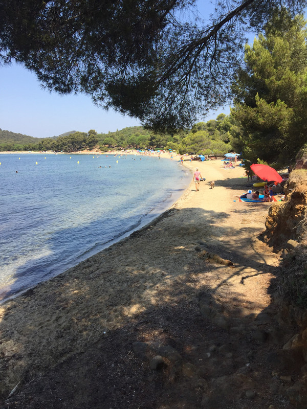 2A57E911-6B5A-4DAA-9C23-3C738185929E