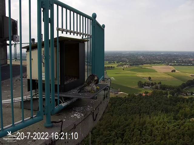 campics © VWGGemert vanaf 1 juli 2022 - Pagina 7 6