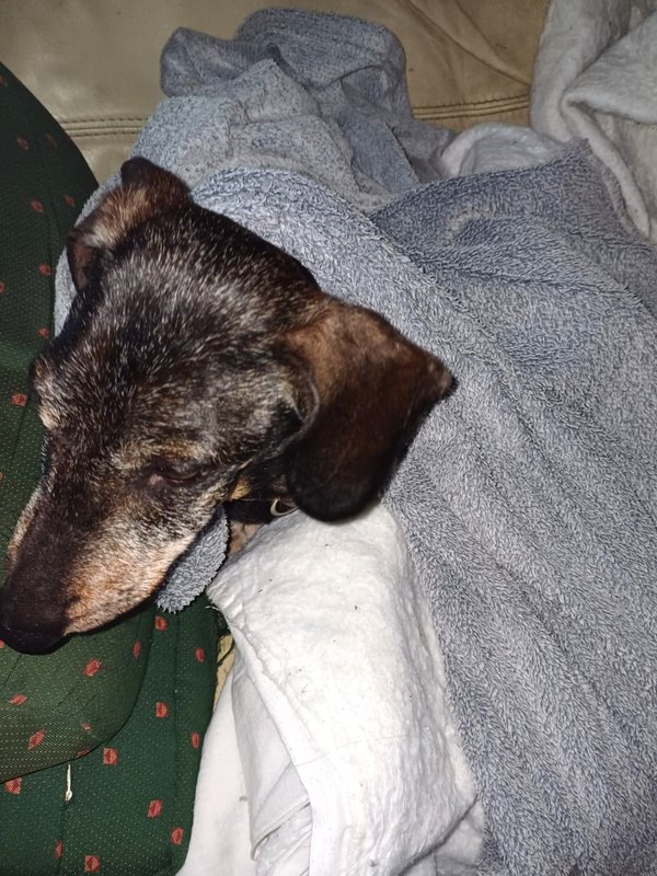 [Image: IMG-20240222-WA0000.jpg]