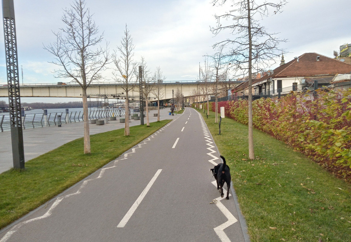 20201204_132007_HDR(1)