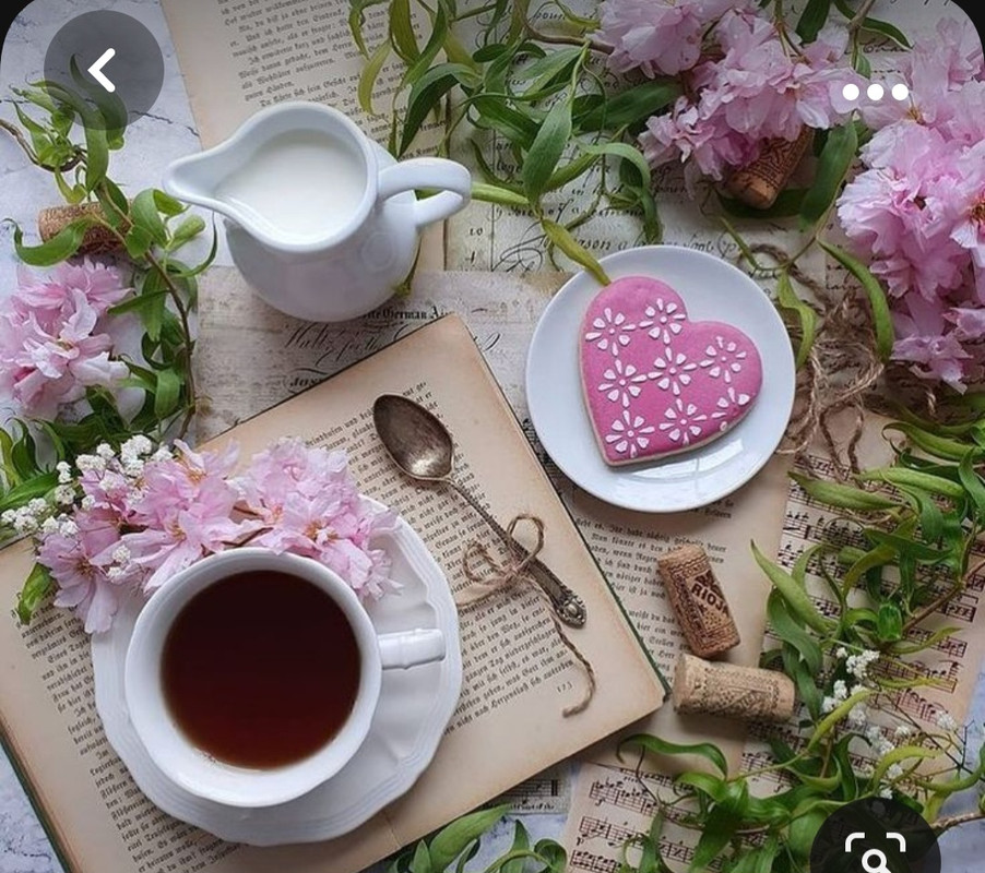 Screenshot_20230928_232732_Pinterest