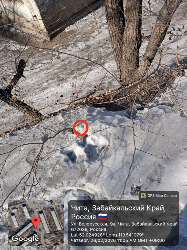 IMG 20260226 121503 715