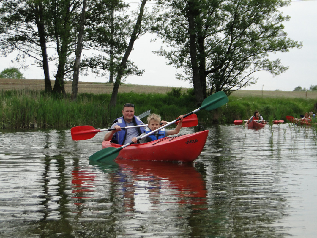 05 - DSC03921 (Mysikrólik)