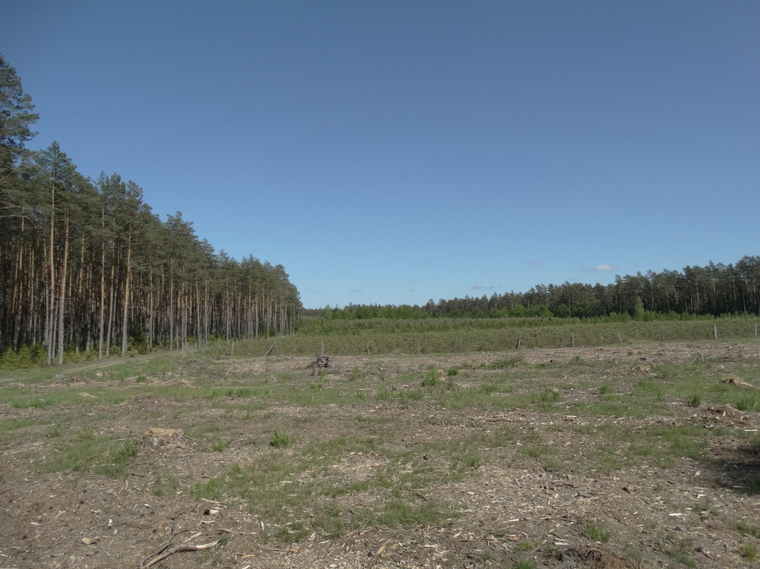 07 - DSC03896 (Czesio1)