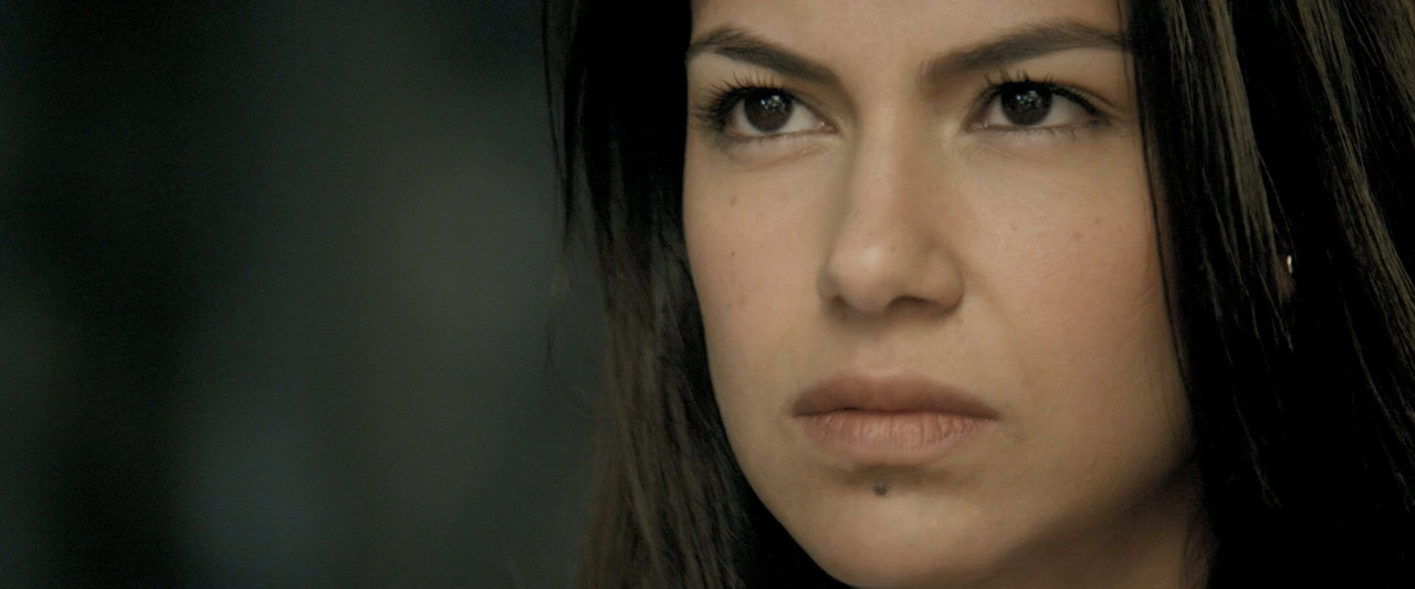 Brick.Mansions.2014.DTS.ITA.ENG.1080p.BluRay.x26