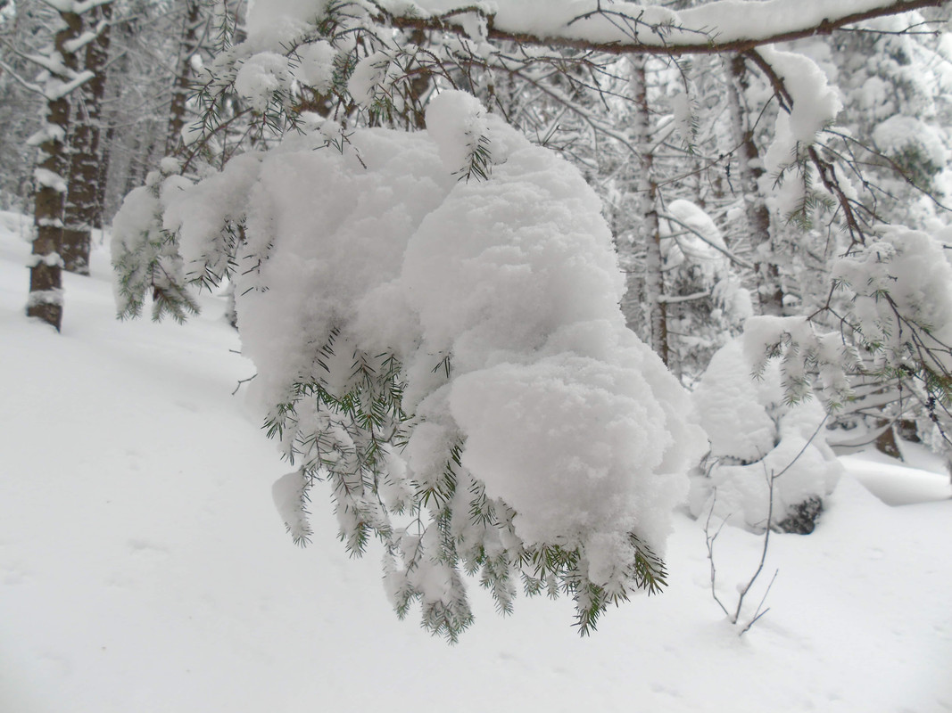 09.03 - DSC05048 (PawelK)