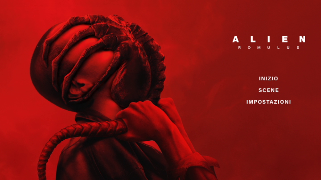 vlcsnap-2024-11-29-15h34m48s608