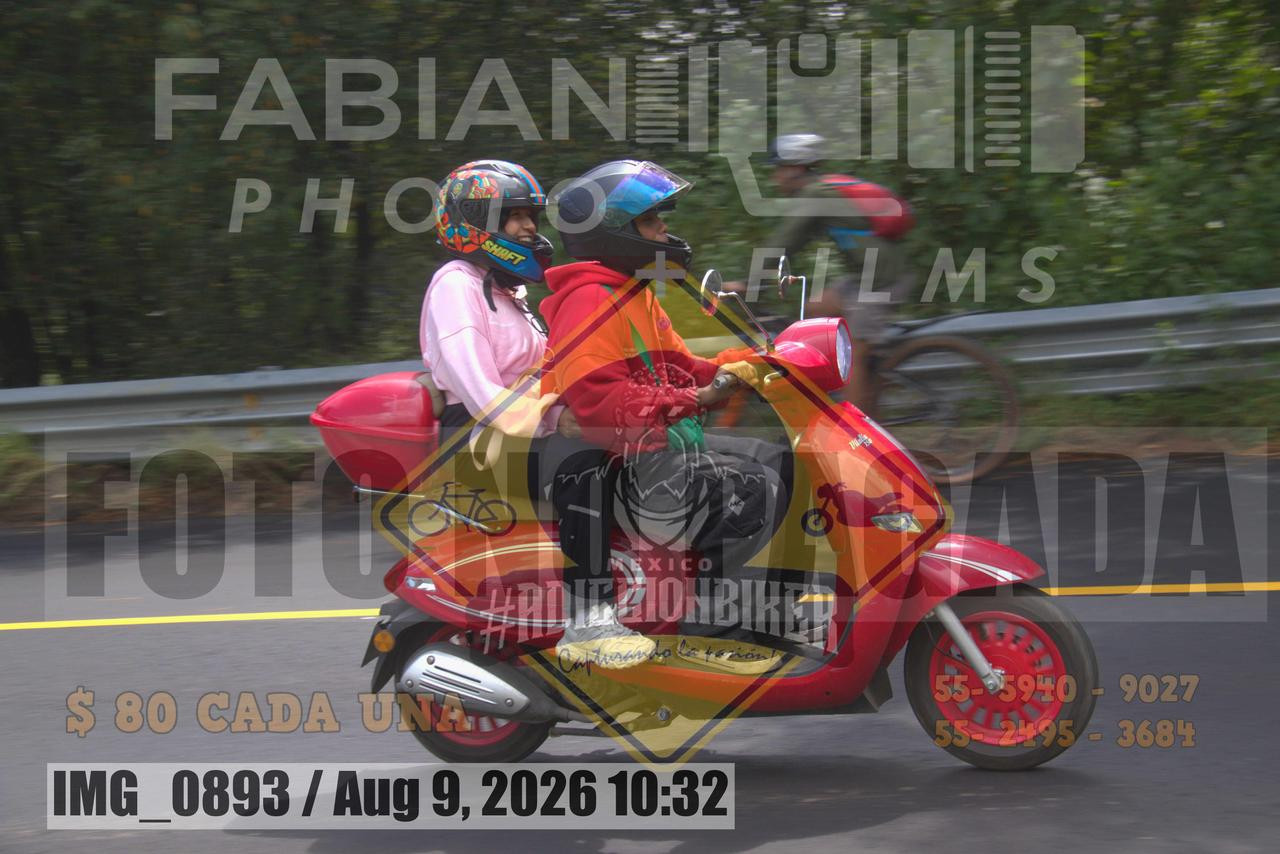 IMG 0893