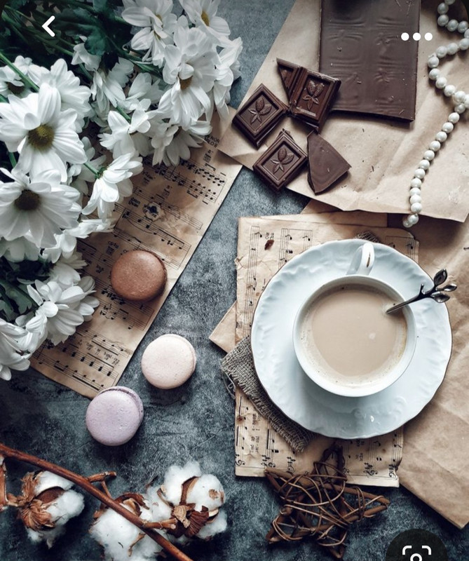 Screenshot_20231015_213746_Pinterest