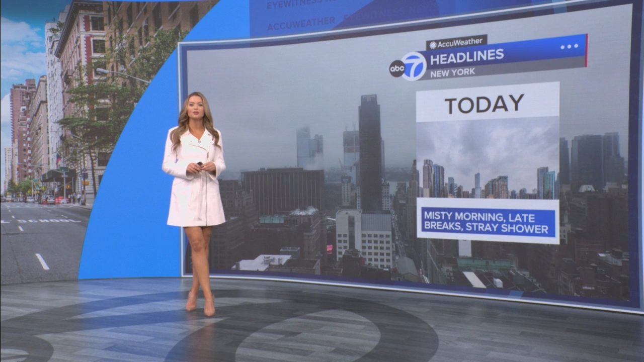 Eyewitness News Mornings at 10_20250529_15001600.ts_snapshot_00.49.26.976