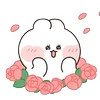 li8.webp